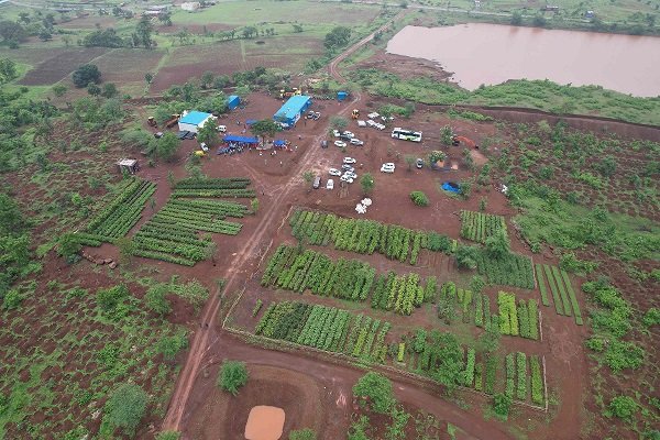 CSR: Forests by Heartfulness Commits to 30 Million Trees by 2030 3 India CSR